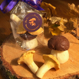 Three chocolate mushrooms in biogradable gift bag
